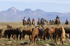 Iceland-Highland Tours-Kjolur Ride - Between the Glaciers